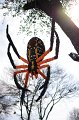 Kids_DFWzoo_3-2016 (51)